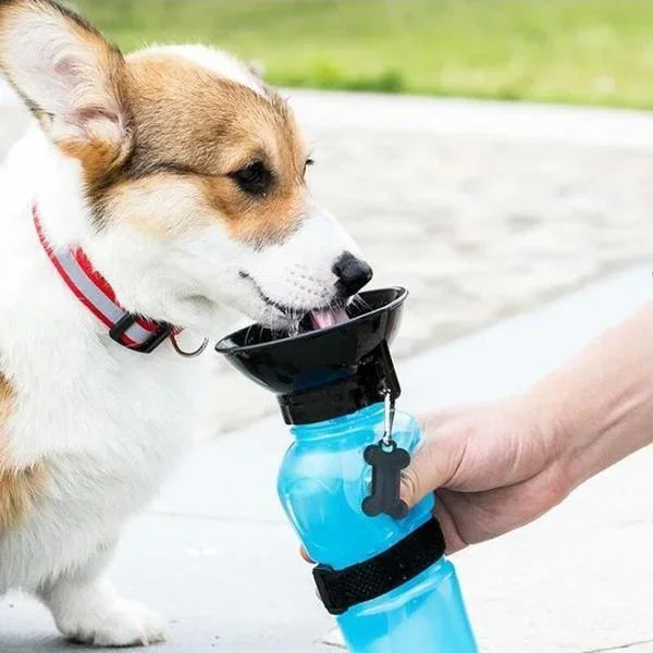 Portable Dog Water Bottle With Built-In Drinking Bowl 500 ml